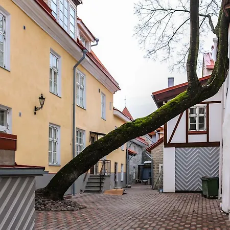 쓰리 크라운 레지던츠 호텔 3*